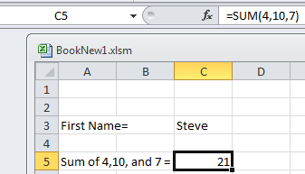 Excel worksheet entry.