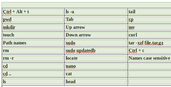 Common Linux commands you should know.