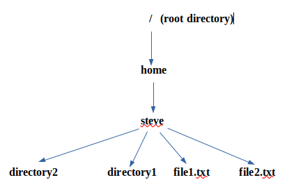 Path for root, files, and directories.
