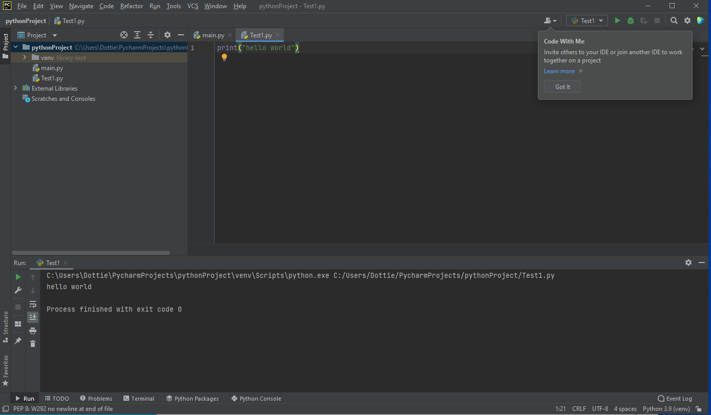 Main IDE project page